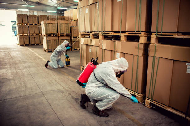 Best Mosquito Control Services  in Creola, AL