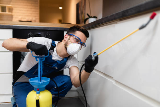 Best Pest Control for Homes  in Creola, AL