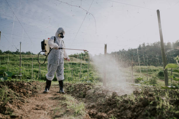 Best Commercial Pest Control Services  in Creola, AL