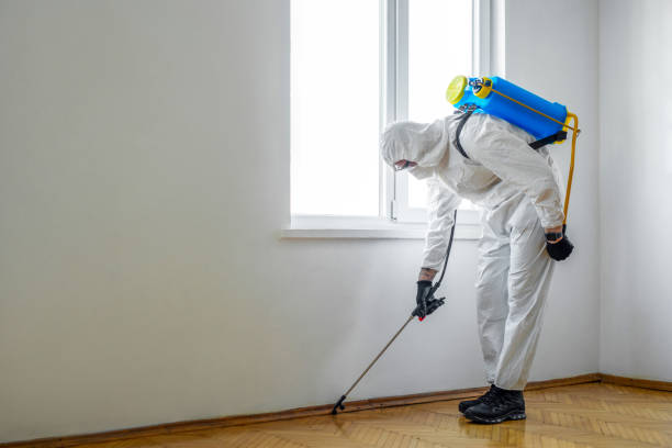 Best Wildlife Control Services  in Creola, AL