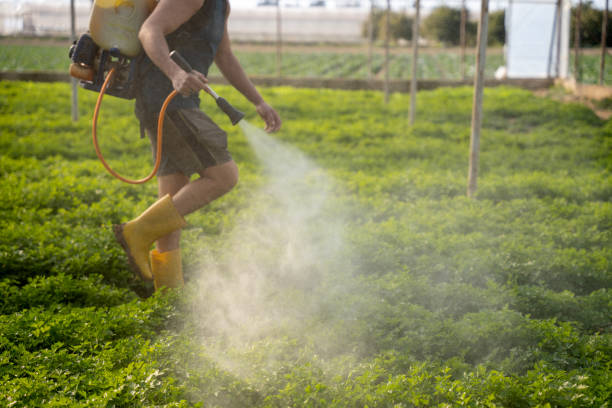 Best Best Pest Control Companies  in Creola, AL