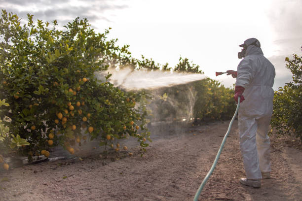 Best Pest Inspection Near Me  in Creola, AL