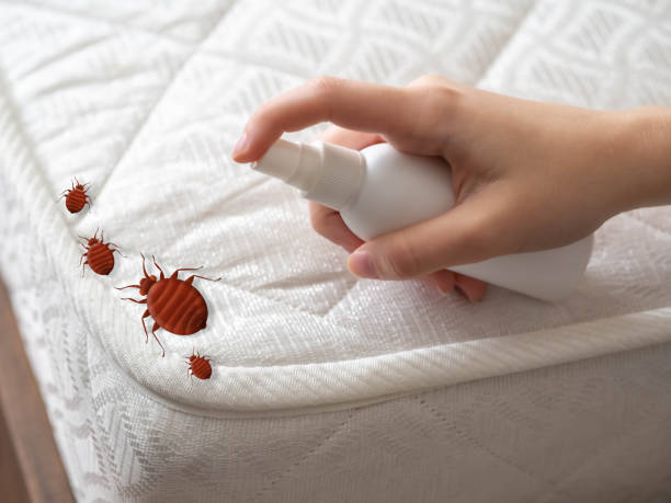 Best Ant Control Services  in Creola, AL